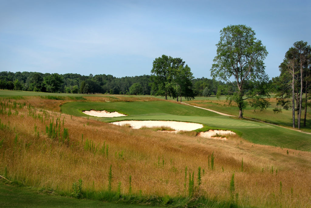 A rough area of wild grasses alongside the fairway.