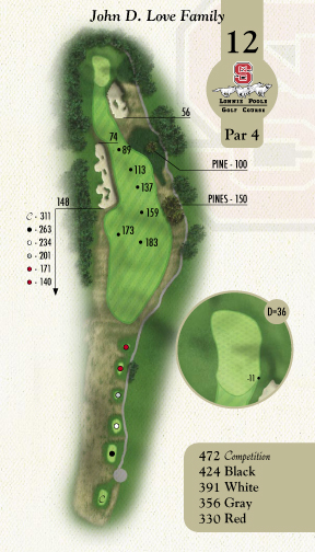 Hole 12