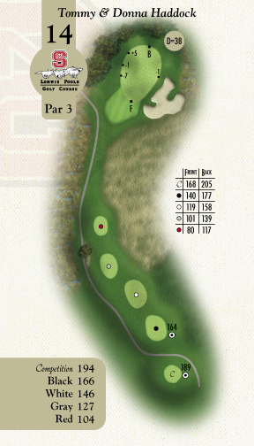 Hole 14