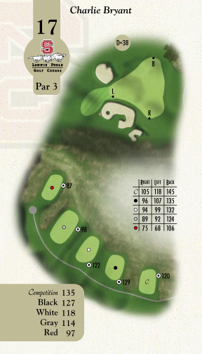 Hole 17