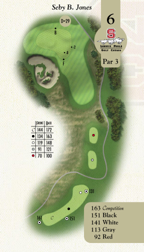 Hole 6